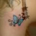cute blue butterfly on neck
